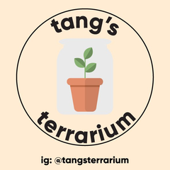 Tangs Terrarium
